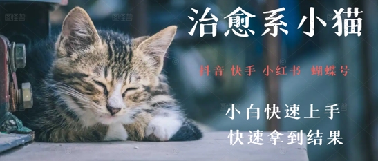 拆解，疯狂火爆！抖音，小红书，视频号小猫治愈的视频，轻松制作+快速拿到结果-中创网_专注互联网创业,项目资源整合-心诚资源网