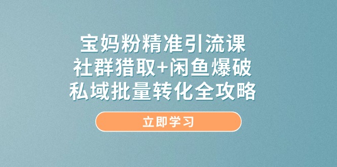 （14820期）宝妈粉精准引流方法课，社群营销捕获 闲鱼平台工程爆破，公域大批量转换攻略大全-中创网_专注互联网创业,项目资源整合-心诚资源网