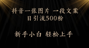 每日2min，抖音一张照片 一段创意文案日引流方法500粉-中创网_专注互联网创业,项目资源整合-心诚资源网