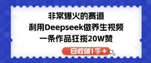 十分爆红的跑道,运用Deepseek做中医养生视频,一条著作斩获20W赞,日收破1k-中创网_专注互联网创业,项目资源整合-心诚资源网