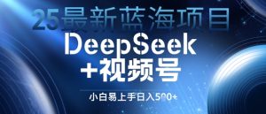 25全新蓝海项目DeepSeek 微信视频号,新手上手快日入多张-中创网_专注互联网创业,项目资源整合-心诚资源网