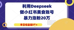 运用Deepseek做小红书美食账户,暴力行为增粉20W,单日盈利破1K-中创网_专注互联网创业,项目资源整合-心诚资源网