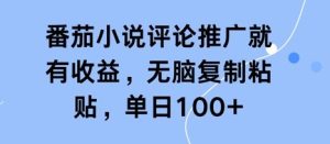 番茄小说评论推广就有收益,无脑复制粘贴,单日100+-中创网_专注互联网创业,项目资源整合-心诚资源网