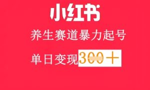 小红书的健康养生跑道，暴力行为养号，轻轻松松日入3张-中创网_专注互联网创业,项目资源整合-心诚资源网