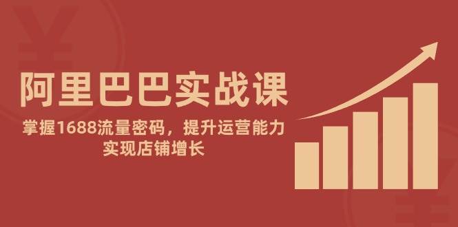 阿里巴巴实战课：掌握1688流量密码，提升运营能力，实现店铺增长-中创网_专注互联网创业,项目资源整合-心诚资源网