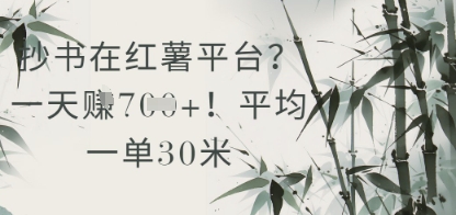 抄写在小红书服务平台？平均一单30米，一天盈利多张！-中创网_专注互联网创业,项目资源整合-心诚资源网