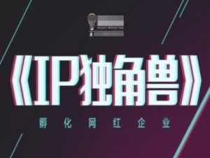 IP独角兽企业,卵化网络红人公司,ip实例教程-中创网_专注互联网创业,项目资源整合-心诚资源网