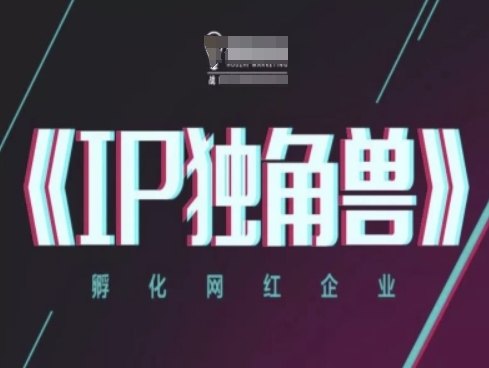 IP独角兽企业，卵化网络红人公司，ip实例教程-中创网_专注互联网创业,项目资源整合-心诚资源网