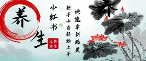 玩命受欢迎,用Deepseek小红书的女性朋友古声神韵健康养生爆品,新手轻轻松松制做,迅速取得结论-中创网_专注互联网创业,项目资源整合-心诚资源网