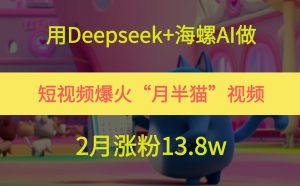 用Deepseek 大海螺AI拍短视频爆红“月半猫”短视频,2月增粉13.8w-中创网_专注互联网创业,项目资源整合-心诚资源网