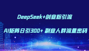 DeepSeek 自主创业粉引流方法 AI引流矩阵日引300  第二职业群体总流量登陆密码-中创网_专注互联网创业,项目资源整合-心诚资源网