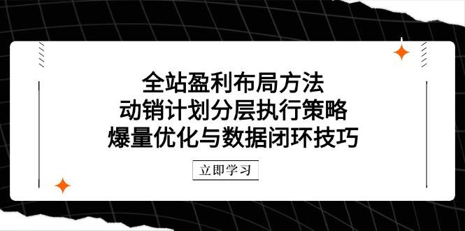 整站赢利合理布局方式：促销方案分层次执行策略，爆量优化与数据闭环方法-中创网_专注互联网创业,项目资源整合-心诚资源网
