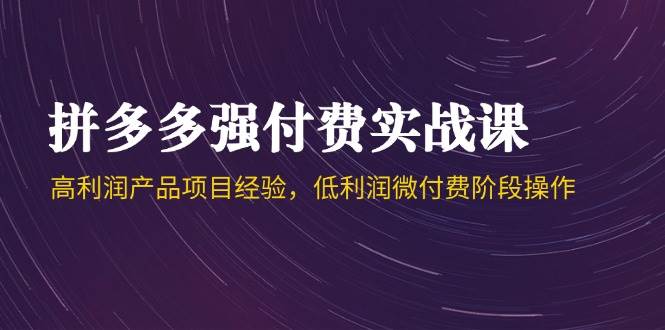 拼多多强付费实战课-44期，高利润产品项目经验，低利润微付费阶段操作-中创网_专注互联网创业,项目资源整合-心诚资源网