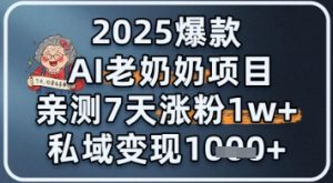 2025爆品 AI 老太太新项目：亲自测试 7 天增粉 1W ，私域变现 1k-中创网_专注互联网创业,项目资源整合-心诚资源网