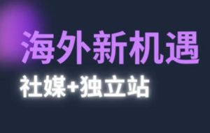 2025出航机遇与挑战(社交媒体 自建站)，国外机遇与挑战，完成独立站的高效管理与出航-中创网_专注互联网创业,项目资源整合-心诚资源网