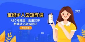 宝妈妈IP人物关系引流矩阵课：ABC号构建，大批量SOP，私域转化高效率闭环控制-中创网_专注互联网创业,项目资源整合-心诚资源网