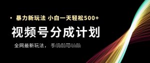 微信视频号分为方案,各大网站最暴力行为游戏玩法,初学者一天都可以轻松5张-中创网_专注互联网创业,项目资源整合-心诚资源网