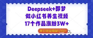 Deepseek 即梦做小红书的中医养生视频17个作品增粉3W 单日盈利多张-中创网_专注互联网创业,项目资源整合-心诚资源网
