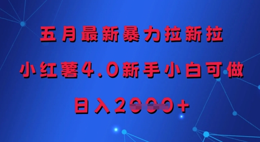 五月全新暴力行为引流拉，小红书4.0新手入门能做，日入好几张-中创网_专注互联网创业,项目资源整合-心诚资源网