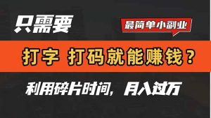 （14673期）只需电脑打字，打码软件，也能赚钱？简单挣钱小副业，利用碎片时间，月入了万-中创网_专注互联网创业,项目资源整合-心诚资源网