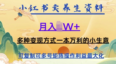 在小红书上卖养生资料，月入1w+，多种变现方式一本万利的小生意-中创网_专注互联网创业,项目资源整合-心诚资源网