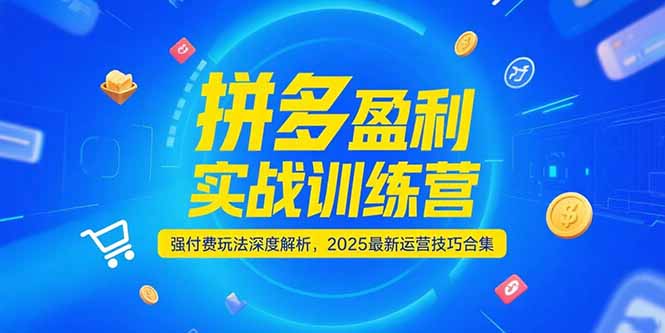 （15183期）拼多多盈利实战训练营，强付费玩法深度解析，2025运营技巧合集-更新6月-中创网_专注互联网创业,项目资源整合-心诚资源网