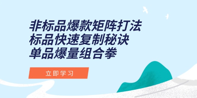 （15068期）非标品爆款矩阵打法，标品快速复制秘诀，单品爆量组合拳-中创网_专注互联网创业,项目资源整合-心诚资源网