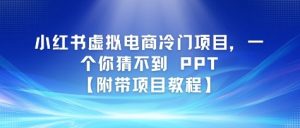 小红书虚拟电商冷门项目，一个你猜不到 PPT【附带项目教程】-中创网_专注互联网创业,项目资源整合-心诚资源网