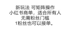 可矩阵操作,小红书商单新玩法,适合所有人,无需粉丝门槛,1粉丝也可以接单-中创网_专注互联网创业,项目资源整合-心诚资源网