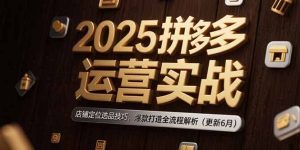 (15235期)2025拼多多运营实战:店铺定位选品技巧,爆款打造全流程解析(更新6月)-中创网_专注互联网创业,项目资源整合-心诚资源网