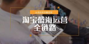 （15160期）淘宝蓝海运营全链路，从选品到流量变现，小类目突围完整方案-中创网_专注互联网创业,项目资源整合-心诚资源网