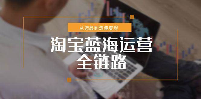 淘宝蓝海运营全链路，从选品到流量变现，小类目突围完整方案-中创网_专注互联网创业,项目资源整合-心诚资源网