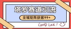 小红书某音塔罗赛道引流获客 自热矩阵日引200+【揭秘】-中创网_专注互联网创业,项目资源整合-心诚资源网