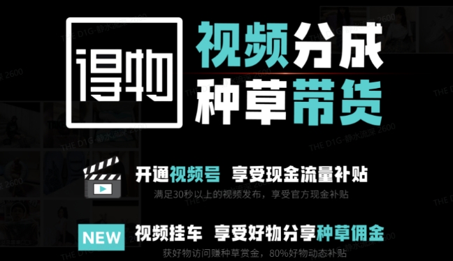 外边卖去1980得物双通道内存游戏玩法新项目拆卸，3-7天一个养号周期时间，每月最低有3k – 5k【揭密】-中创网_专注互联网创业,项目资源整合-心诚资源网