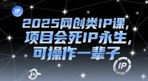 2025网创类IP课,项目会死IP永生,可操作一辈子-中创网_专注互联网创业,项目资源整合-心诚资源网