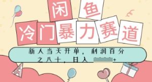 闲鱼冷门暴力赛道，新人当天开单，门槛低，日入多张-中创网_专注互联网创业,项目资源整合-心诚资源网