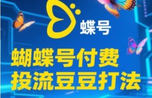 2025彩蝶号付钱投流毛毛玩法，助初学者快速上手付费推广撬起自然流的核心玩法-中创网_专注互联网创业,项目资源整合-心诚资源网