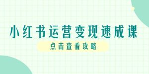 (14951期)小红书运营转现速成课,账户构建到暴力行为养号,本人IP全过程手册-中创网_专注互联网创业,项目资源整合-心诚资源网