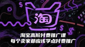 淘宝高阶付费推广课,每个卖家都应该学点付费推广-中创网_专注互联网创业,项目资源整合-心诚资源网