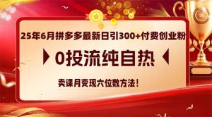 (14989期)25年6月拼多多最新日引300 付钱自主创业粉,0投流纯自然 购买课程月转现六位数方式-中创网_专注互联网创业,项目资源整合-心诚资源网