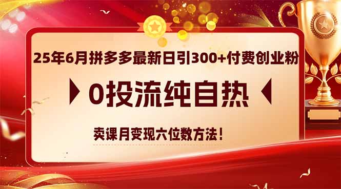（14989期）25年6月拼多多最新日引300 付钱自主创业粉，0投流纯自然 购买课程月转现六位数方式-中创网_专注互联网创业,项目资源整合-心诚资源网