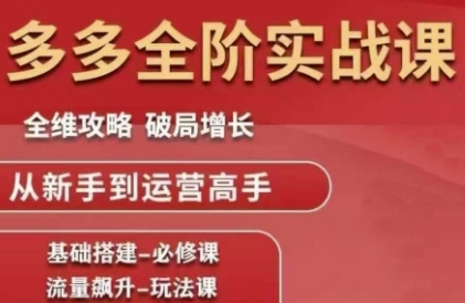 拼多多全阶实战课程，全维攻略，破局增长，从新手到运营高手-中创网_专注互联网创业,项目资源整合-心诚资源网