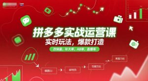 拼多多实战运营课,实时玩法,爆款打造,改销量,补大单,AB单,直播等(更新2025月)-中创网_专注互联网创业,项目资源整合-心诚资源网