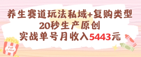 养生赛道玩法私域+复购类型，20秒生产原创实战单号月收入5k+-中创网_专注互联网创业,项目资源整合-心诚资源网