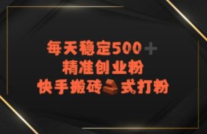 快手搬砖式打粉，每天稳定500+精准创业粉-中创网_专注互联网创业,项目资源整合-心诚资源网