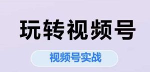 玩转视频号,视频号实战系列课-中创网_专注互联网创业,项目资源整合-心诚资源网