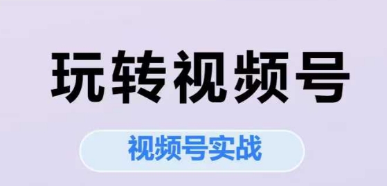玩转视频号，视频号实战系列课-中创网_专注互联网创业,项目资源整合-心诚资源网