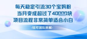 每天稳定引流30个人 当月变成超过了4个W项目流程非常简单适合小白-中创网_专注互联网创业,项目资源整合-心诚资源网