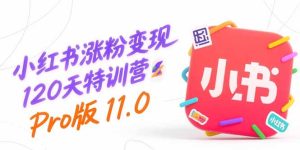 (15432期)小红书涨粉变现120天特训营Pro版11.0:从0到1掌握平台运营,内容制作和变现-中创网_专注互联网创业,项目资源整合-心诚资源网