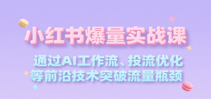 小红书爆量实战课,通过AI工作流、投流优化等前沿技术突破流量瓶颈-中创网_专注互联网创业,项目资源整合-心诚资源网